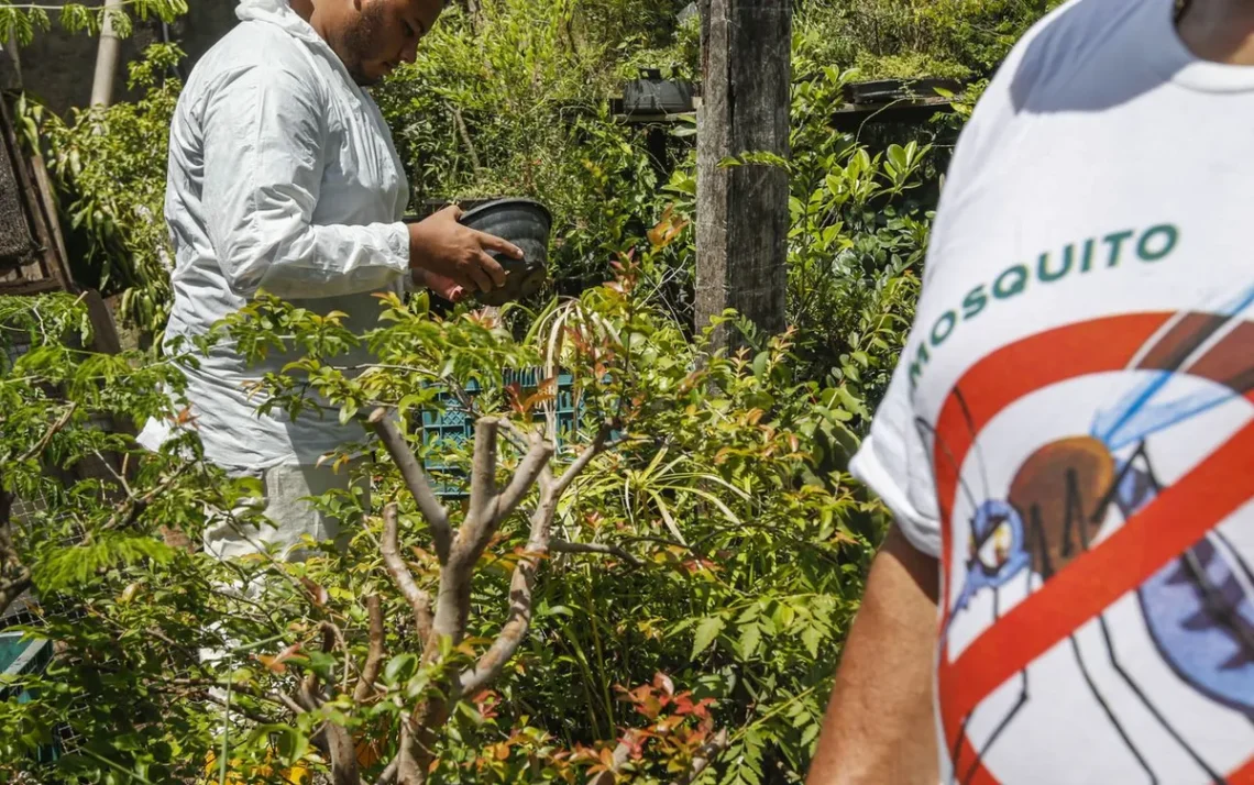 epidemia de dengue, casos de dengue, surtos de dengue