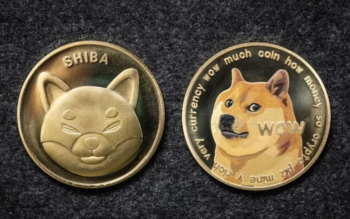 moedas baseadas em memes, criptomoedas divertidas, moedas virais