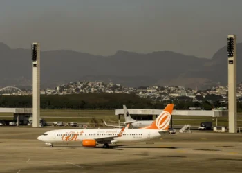 transporte de animais de estimação