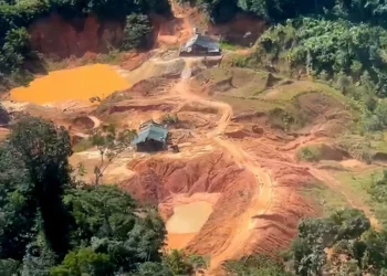 ilegais, garimpo, clandestinos, mineração;