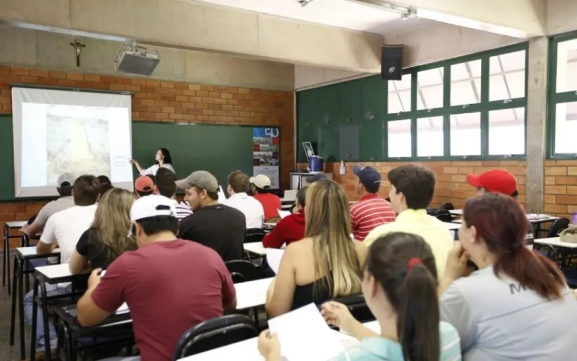 graduações, formações acadêmicas, disciplinas