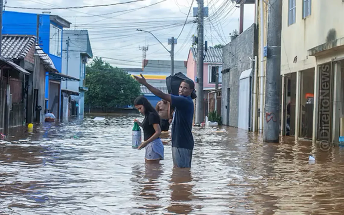 fraudes, roubo, estelionamento;