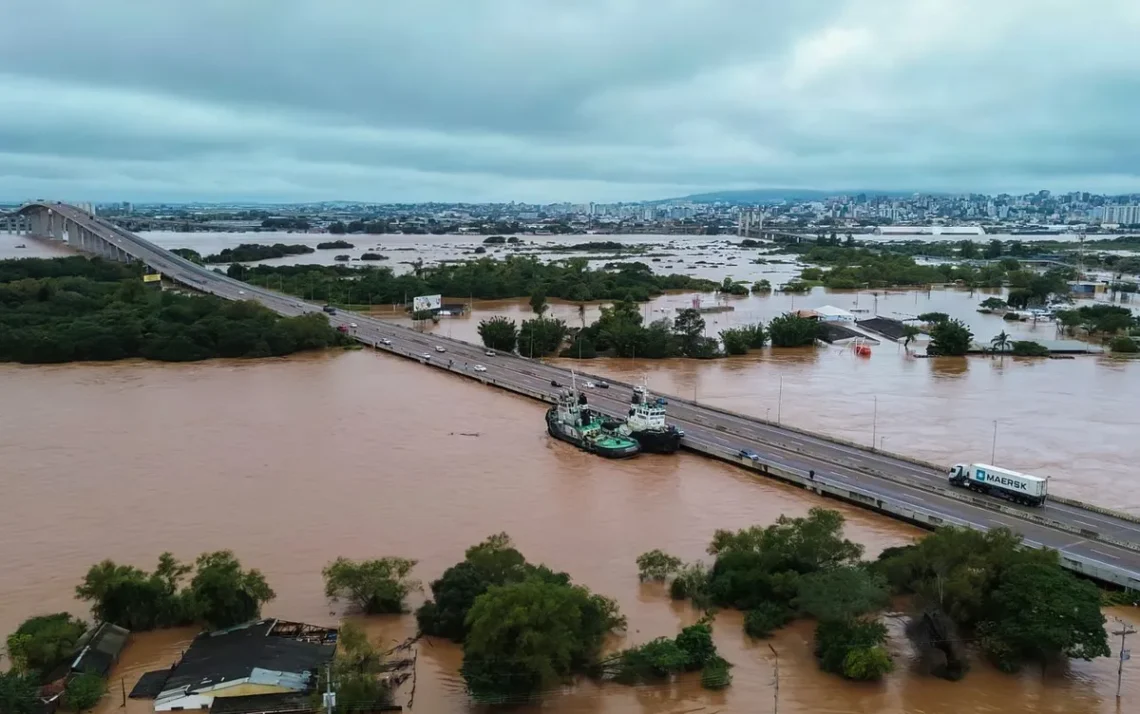 região, Nordeste, estados, da região, Consórcio, Nordeste;