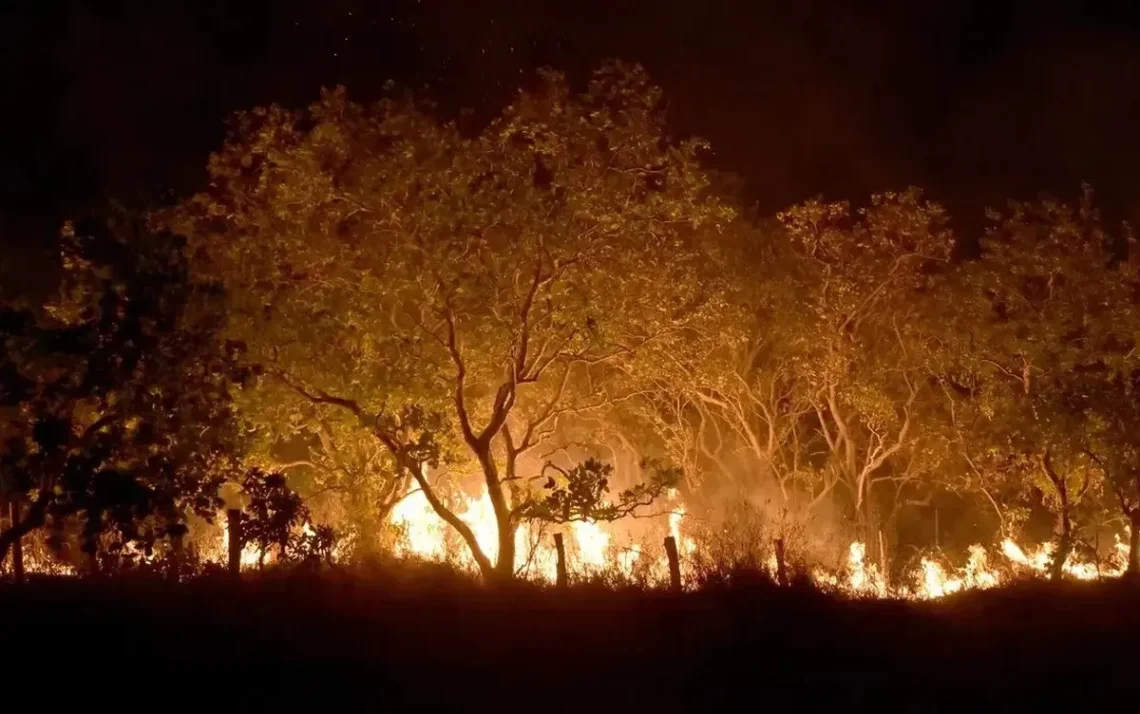 incêndios, florestais, focos, de queimadas;