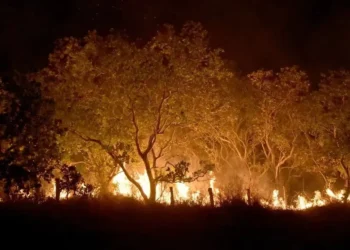 incêndios, florestais, focos, de queimadas;