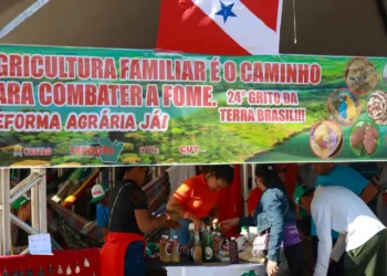 reforma, agrária mais, eficiente.