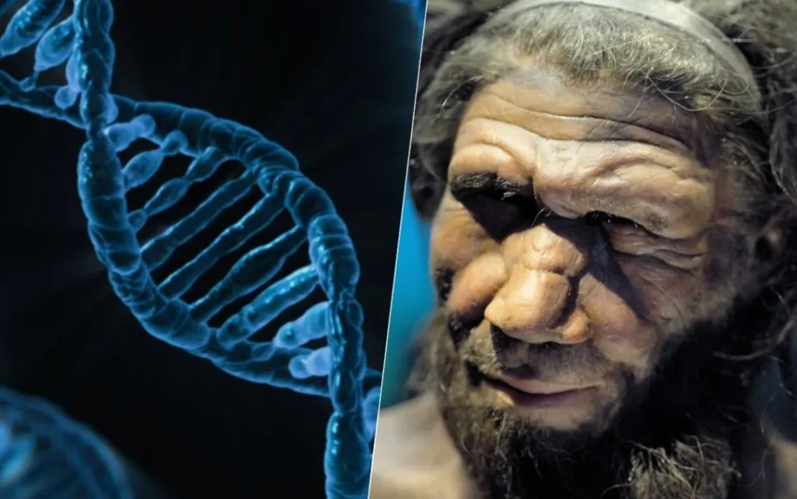 homem, de Neandertal;