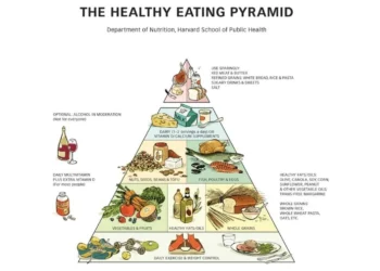 pirâmide, nutricional, guia, alimentar;