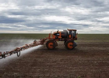 defensivo, agrícola, pesticida, produto, fitossanitário;