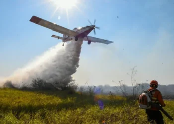 queimadas, fogo, combate, à incêndios;