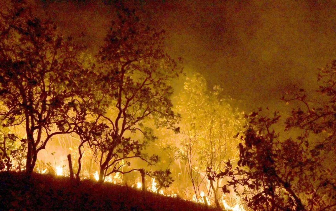 incêndios, florestais, focos de calor, focos de incêndio;