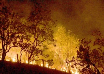 incêndios, florestais, focos de calor, focos de incêndio;